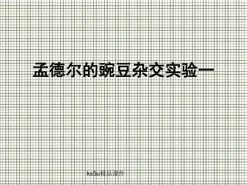 生物1.1《孟德尔的豌豆杂交实验(一)》课件8(新人教版必修2).ppt
