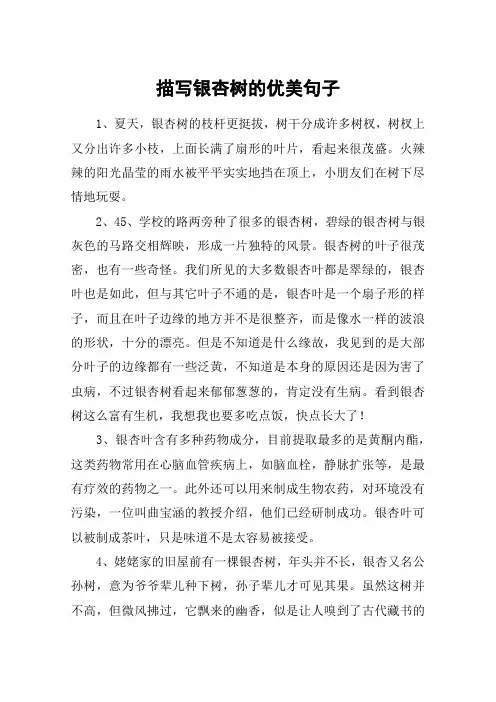 描写银杏树的优美句子