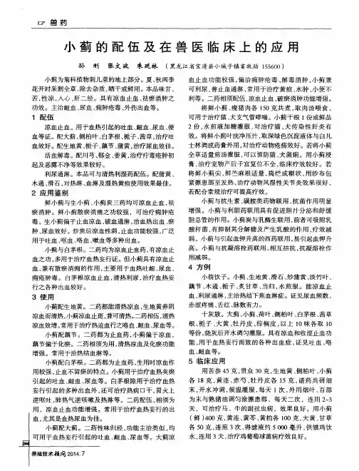 小蓟的配伍及在兽医临床上的应用