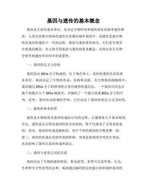 基因与遗传的基本概念