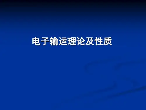 电子输运理论及性质