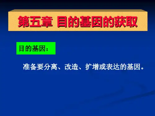 基因工程 第五章目的基因的获取