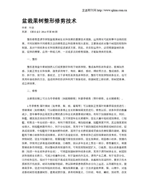 盆栽果树整形修剪技术