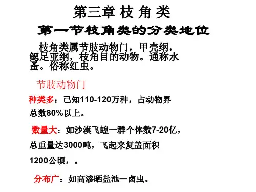 3.枝角类
