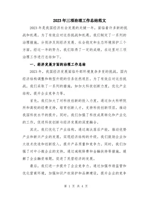 2023年三项治理工作总结范文