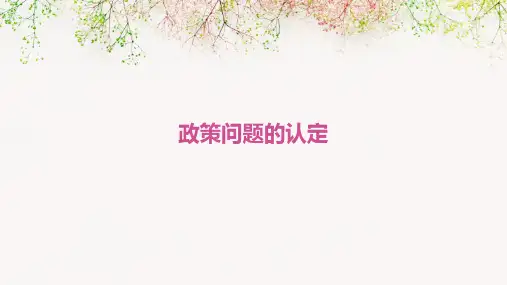 《政策问题的认定》课件