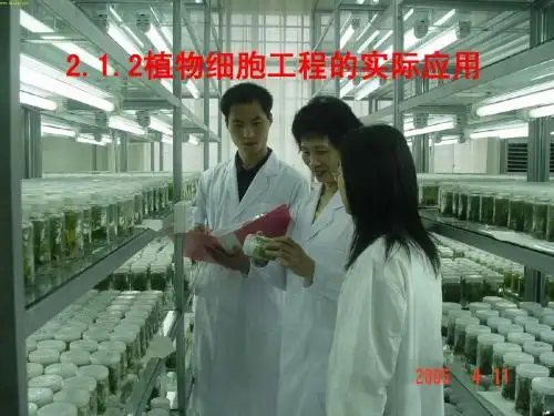 2.1.2植物细胞工程的实际应用自制