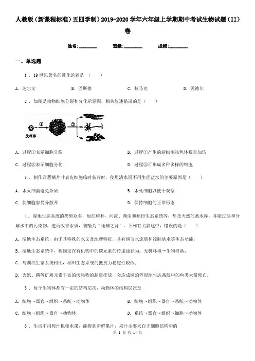 人教版(新课程标准)五四学制)2019-2020学年六年级上学期期中考试生物试题(II)卷