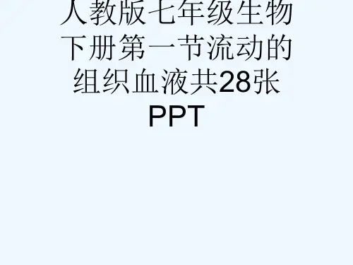人教版七级生物下册第一节流动的组织血液共28张PPT[可修改版ppt]
