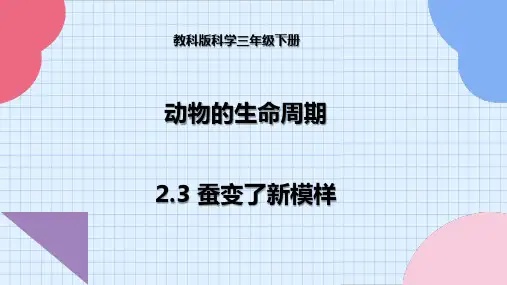 教科版科学三年级下册 2-3 蚕变了新模样--课件