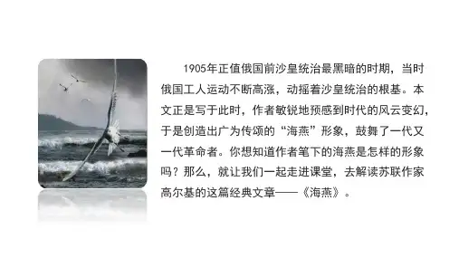 4 海燕  课件(共21张PPT) 2024-2025学年语文部编版九年级下册