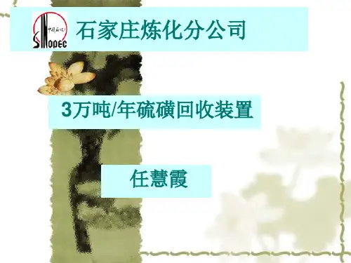 3万吨硫磺装置简介