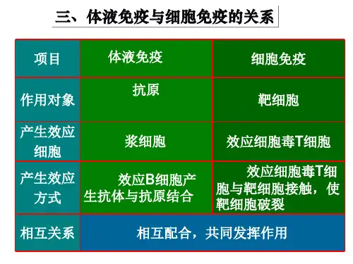 免疫失调引起的疾病ppt