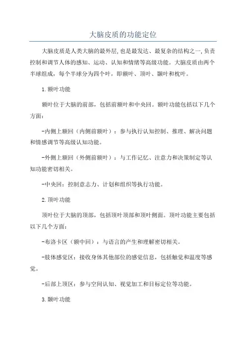 大脑皮质的功能定位