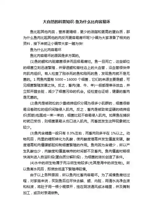 大自然的科普知识-鱼为什么比肉容易坏