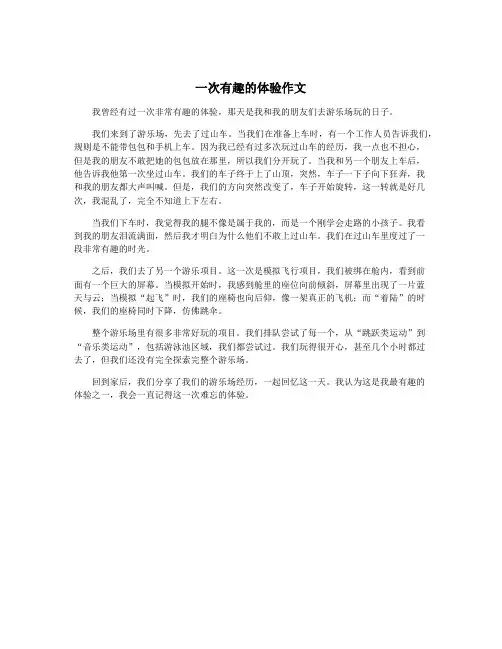 一次有趣的体验作文