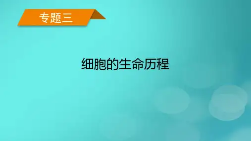 老高考适用2023版高考生物二轮总复习专题3细胞的生命历程第1讲有丝分裂与减数分裂课件