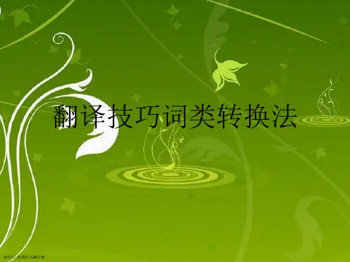 翻译技巧词类转换法