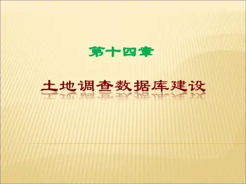 第十四章 土地调查数据库建设