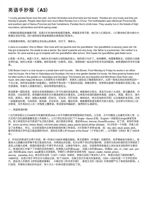 英语手抄报（A3）
