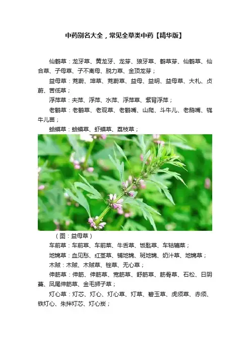 中药别名大全，常见全草类中药【精华版】