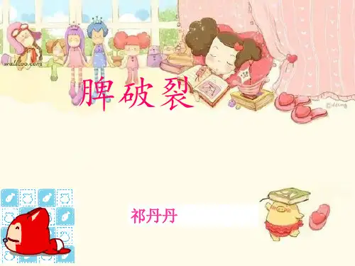 脾破裂PPT课件