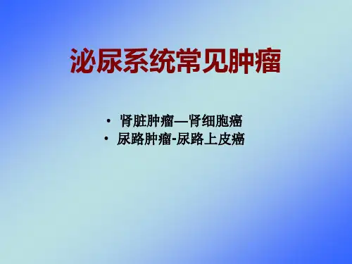 泌尿系统常见肿瘤