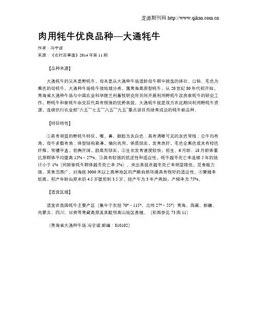 肉用牦牛优良品种—大通牦牛