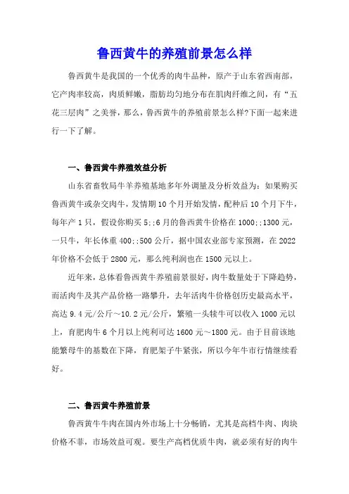 鲁西黄牛的养殖前景怎么样