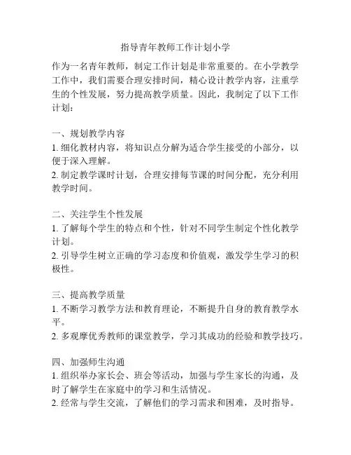 指导青年教师工作计划小学