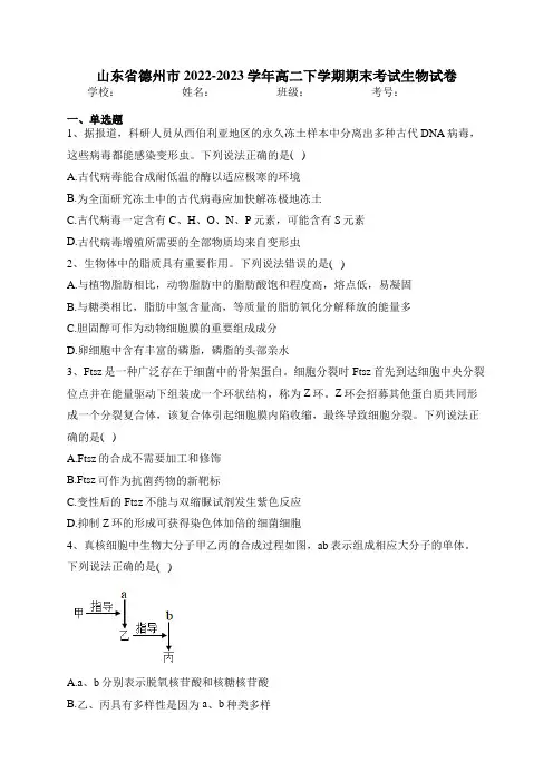 山东省德州市2022-2023学年高二下学期期末考试生物试卷(含答案)