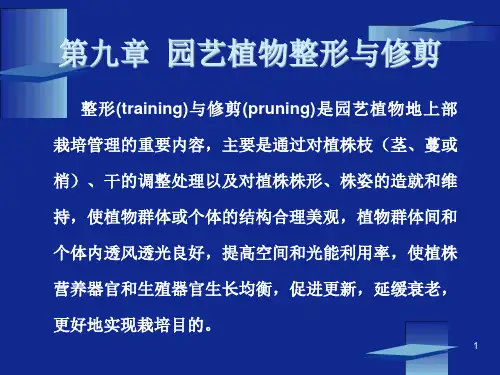 园艺概论 9 - 修剪