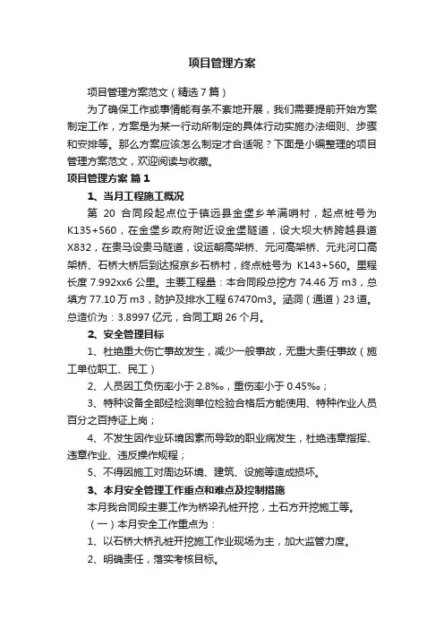 项目管理方案