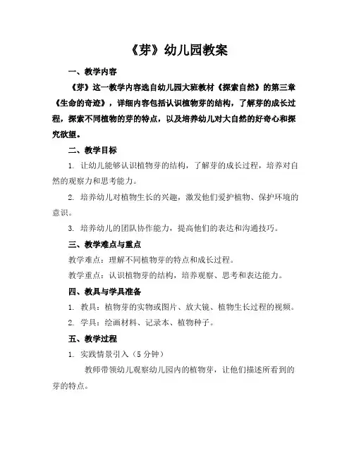 《芽》幼儿园教案
