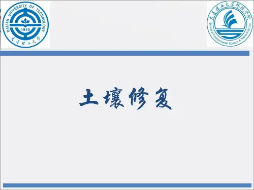 《土壤修复》PPT课件