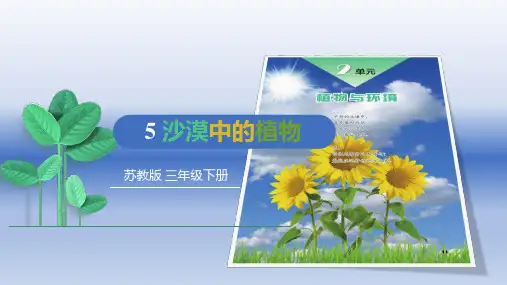 苏教版三年级下册科学2.6沙漠中的植物课件