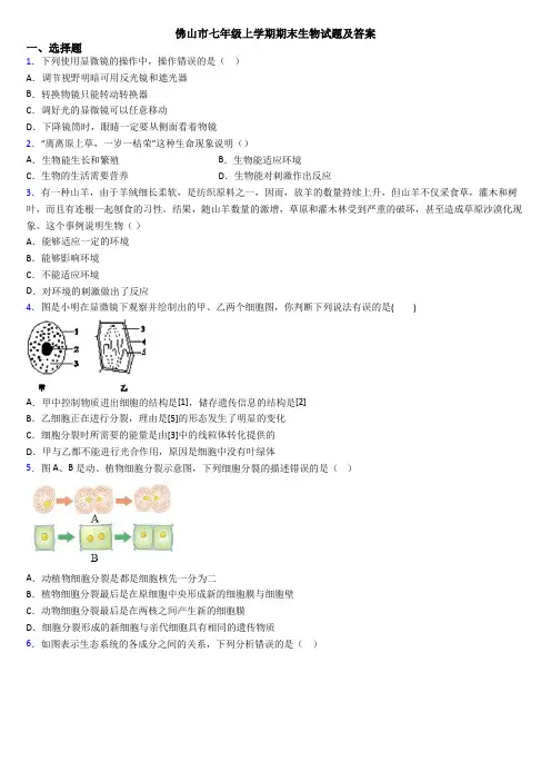 佛山市七年级上学期期末生物试题及答案