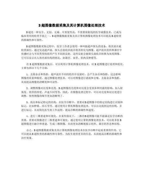 B超图像数据采集及其计算机图像处理技术
