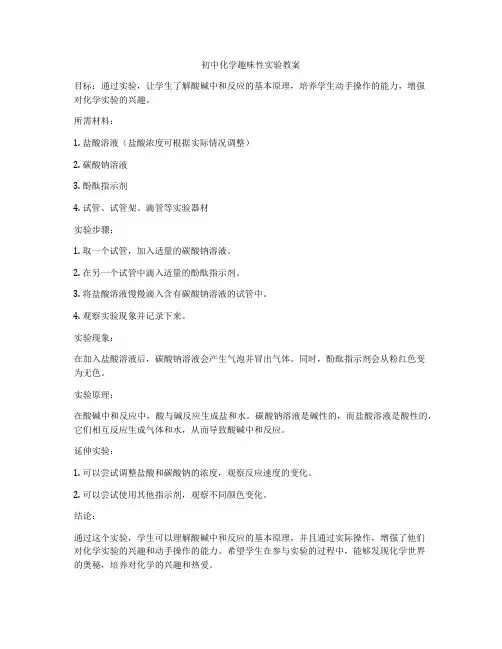 初中化学趣味性实验教案
