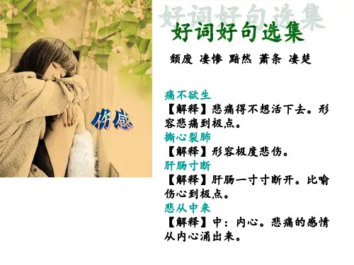 六年级下册语文课件好词好句(14张PPT)