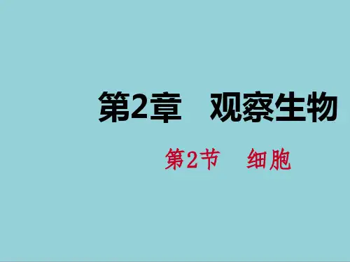 七年级科学上册第2章观察生物2.2细胞2.2.3观察动物细胞和植物细胞课件新浙教