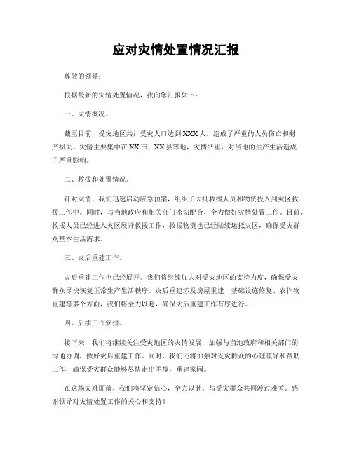 应对灾情处置情况汇报