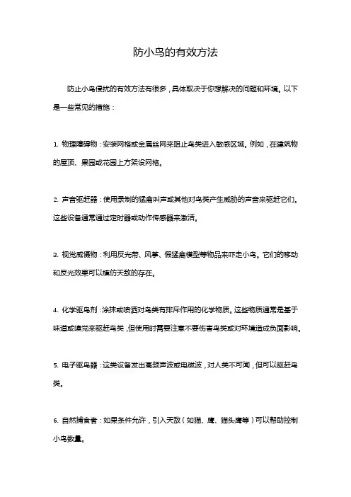 防小鸟的有效方法