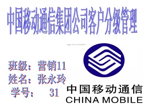 中国移动通信集团公司客户分级管理