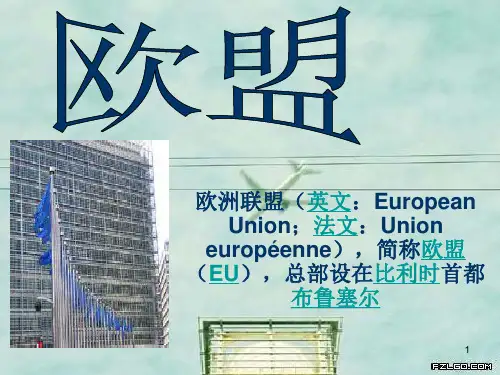 欧盟ppt课件