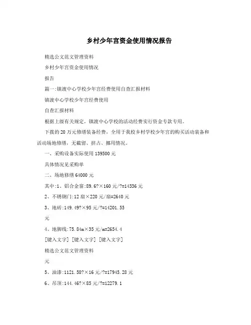 乡村少年宫资金使用情况报告