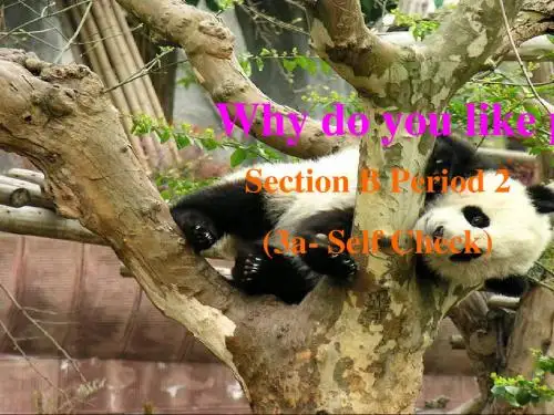 人教版七年级英语下册Unit 5 Why do you like pandas_全单元(24 22 44 23张PPT)