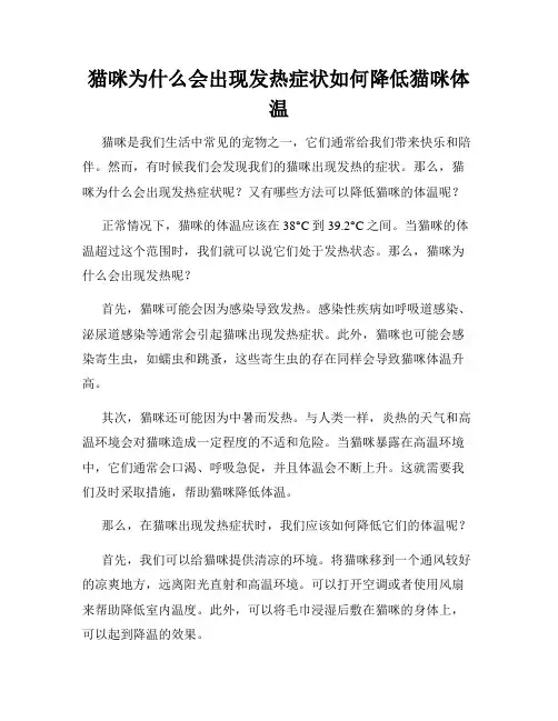 猫咪为什么会出现发热症状如何降低猫咪体温