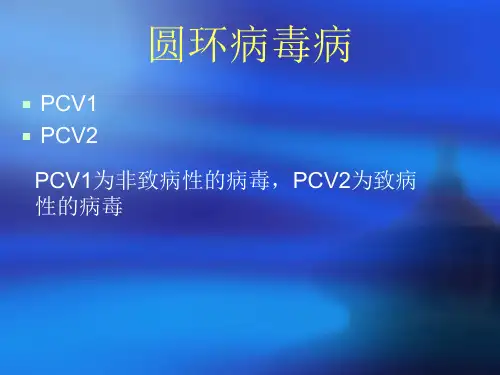 图解圆环病毒