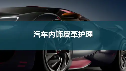 2.2 汽车内饰皮革护理   